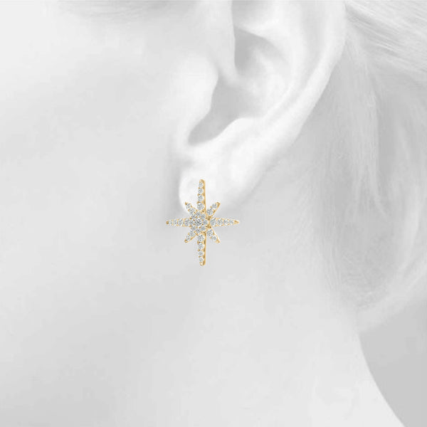 Wind Rose earrings